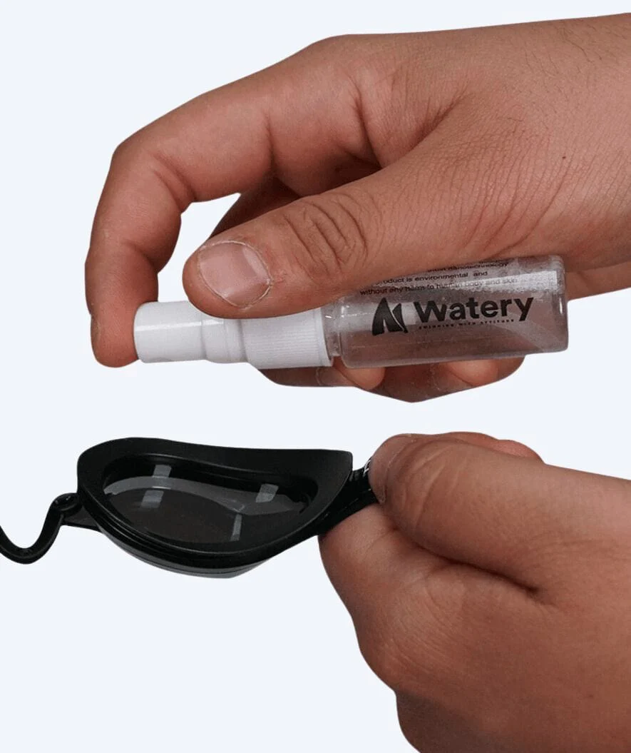 Miniatyr 2