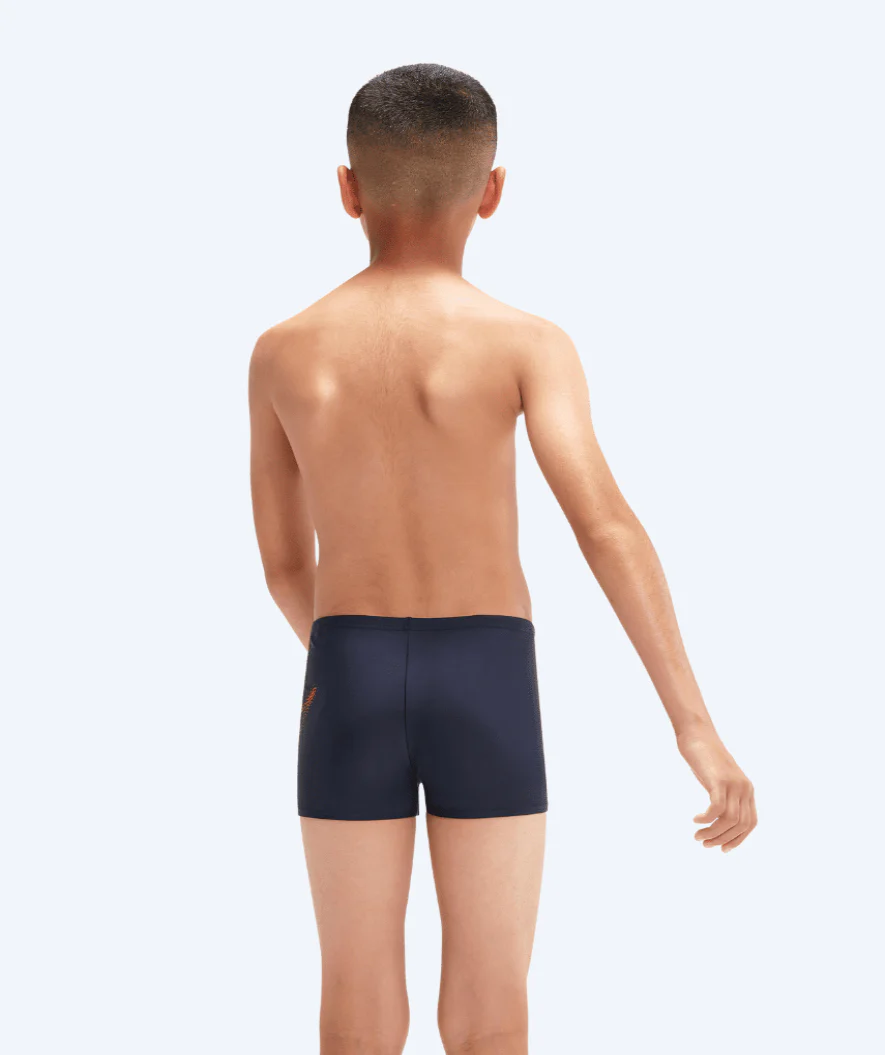 Miniatyr 2