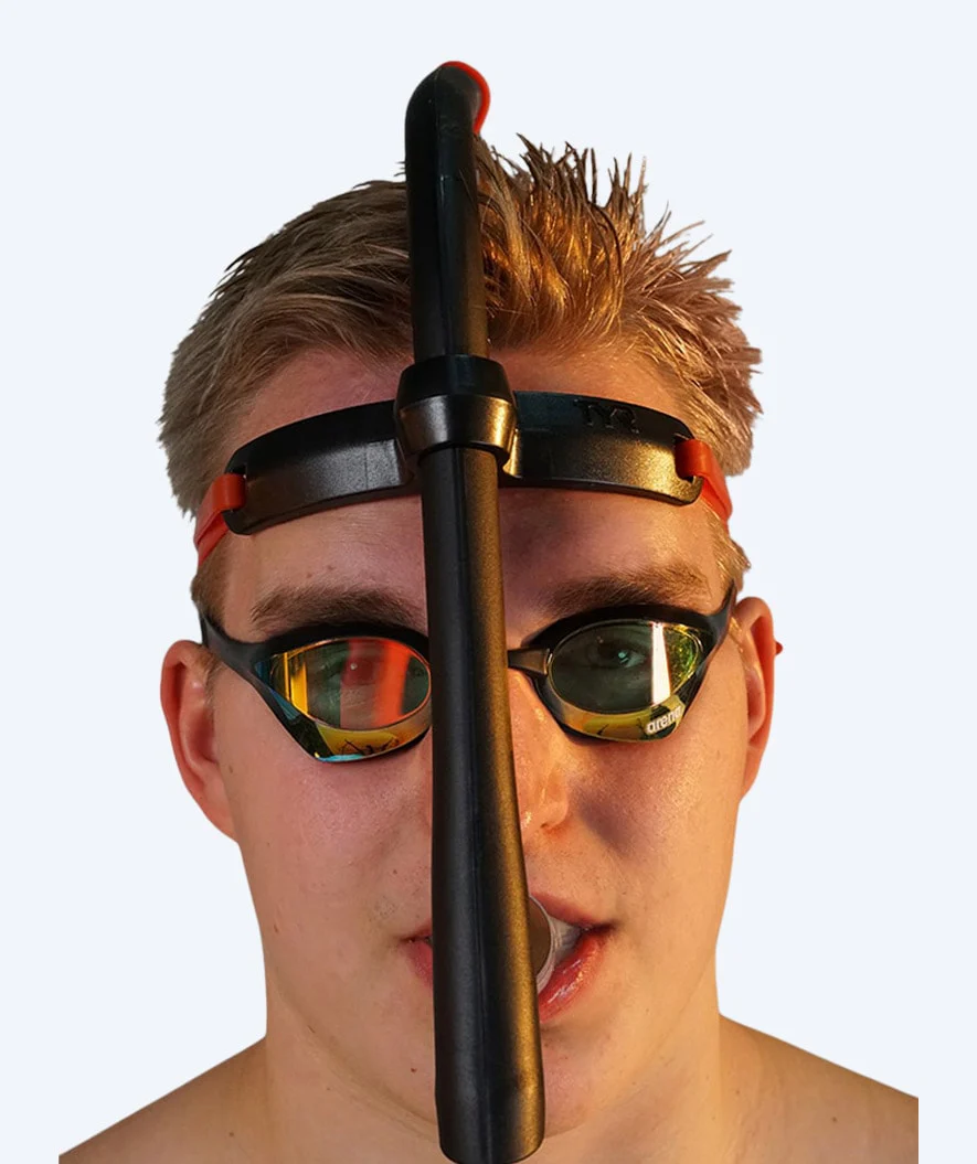 Miniatyr 2