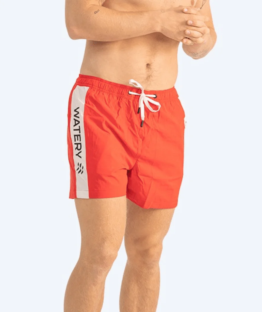 Miniatyr 1