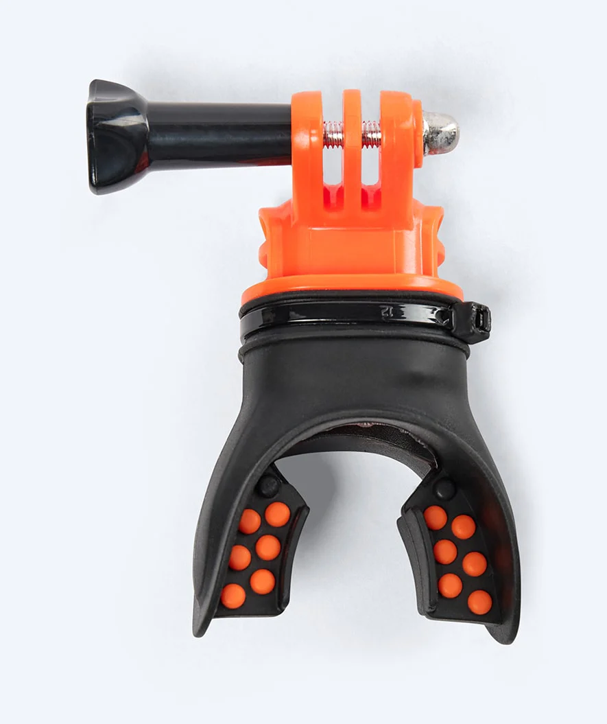 Miniatyr 1